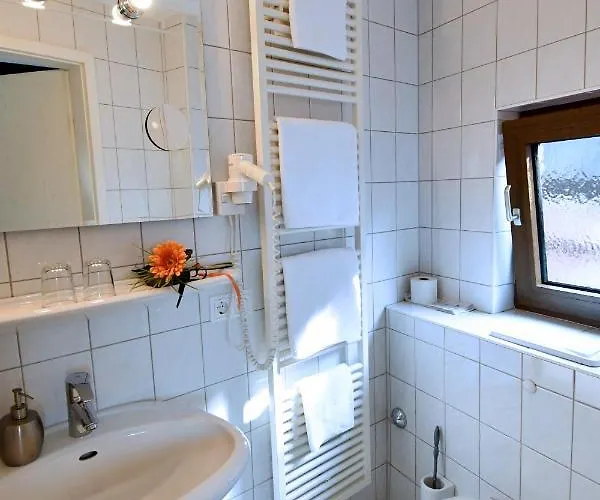 Hotel Gruener Baum Dettelbach