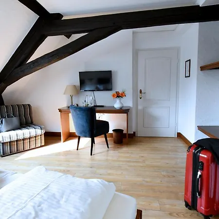 Hotel Gruener Baum 3*