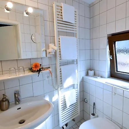 Hotel Gruener Baum Dettelbach
