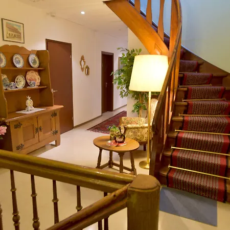 Отель Gruener Baum 3*