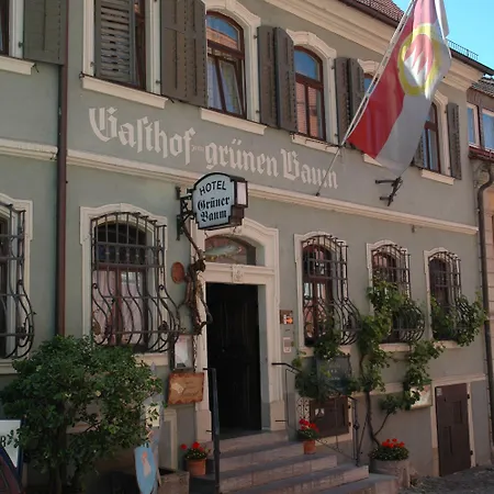 Отель Gruener Baum